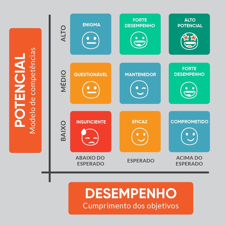 Curso de Matriz 9Box 80h